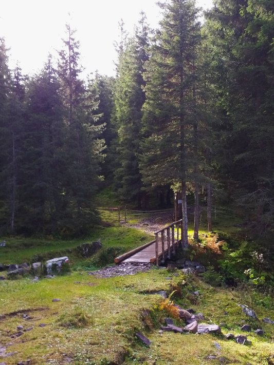 Holzbrücke über Bach