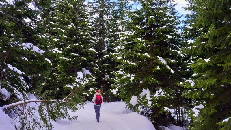 Weg Richtung Auerleger Alm im Winter