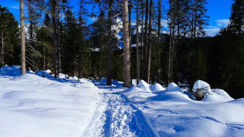 Weg Richtung Lavazepass