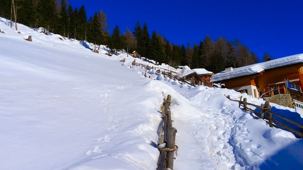 Beginn Wanderung zum Schusterhüttl