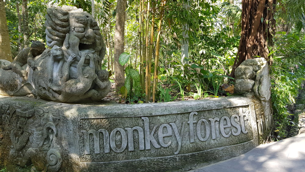 Monkey Forest Park Ubud