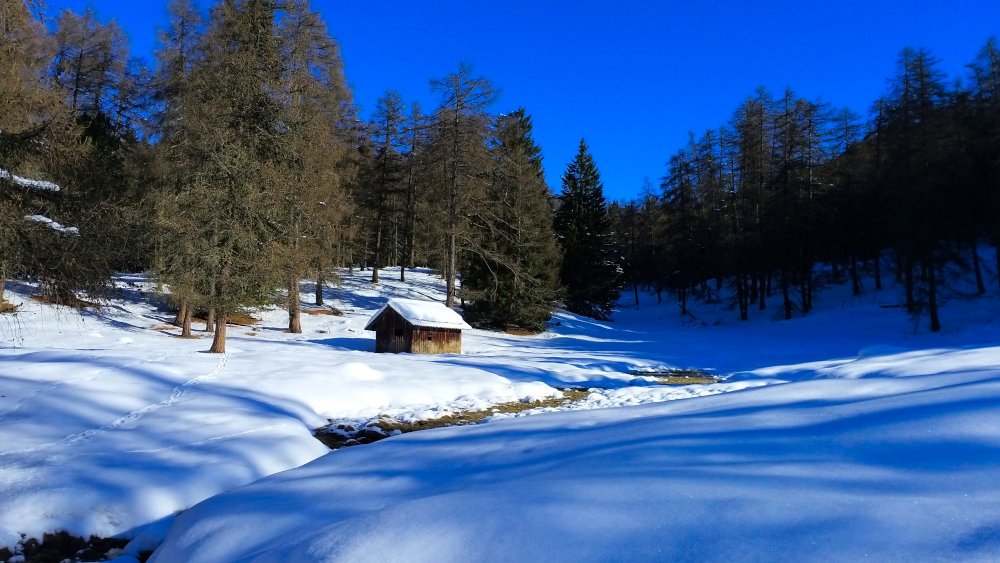 Verschneite Almwiese bei Lerch