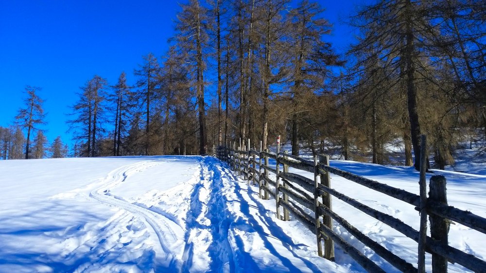 Weg nach Maria Weissenstein