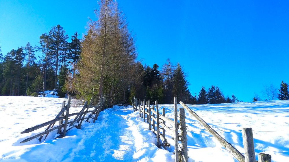 Weg zur Schönrast Alm