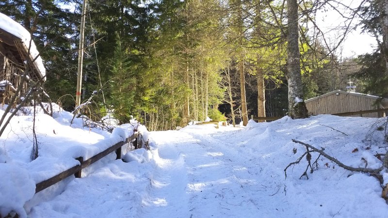 Weg von Enzianhütte nach Halbweg