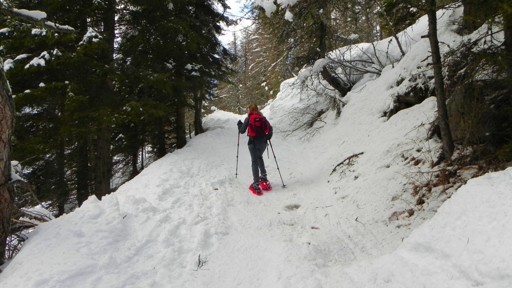 Weg zur Auener Alm