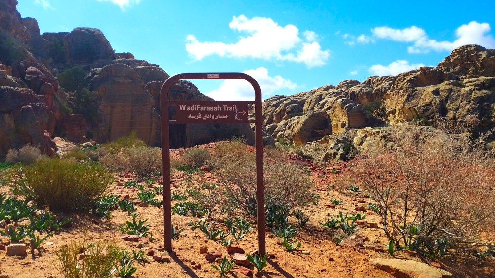 Wadi Farasah Wanderung