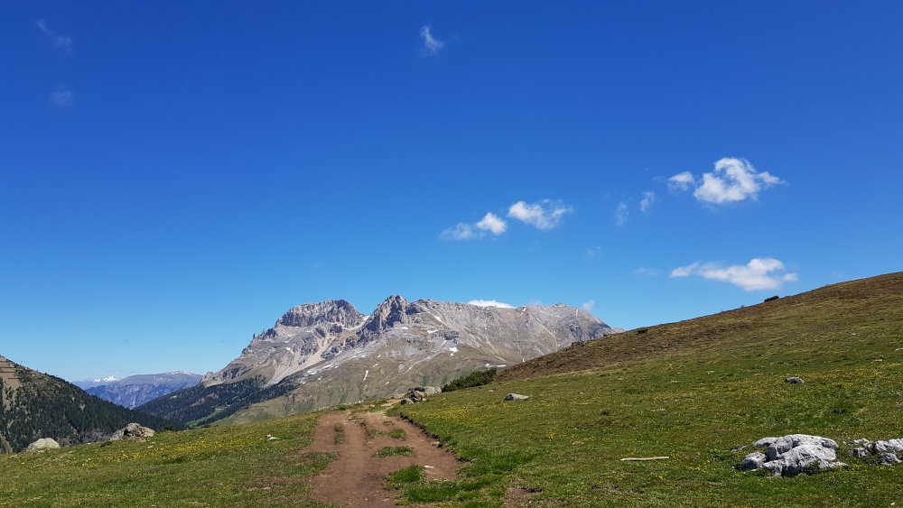 Aussicht Latemar Cornon Wanderung