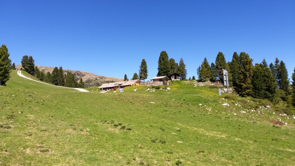 Caserina Hütte bei Pampeago