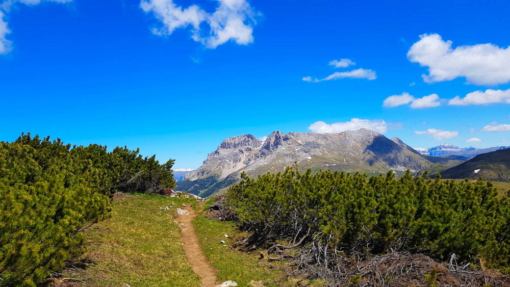 Weg zum Doss dei Branchi