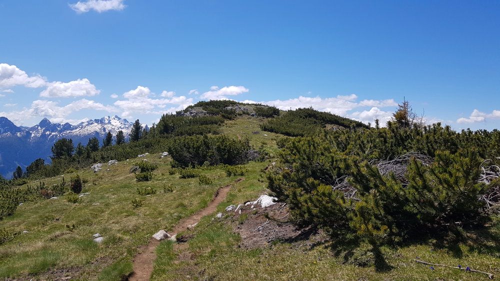 Weg zur Cornon Spitze bei Tesero