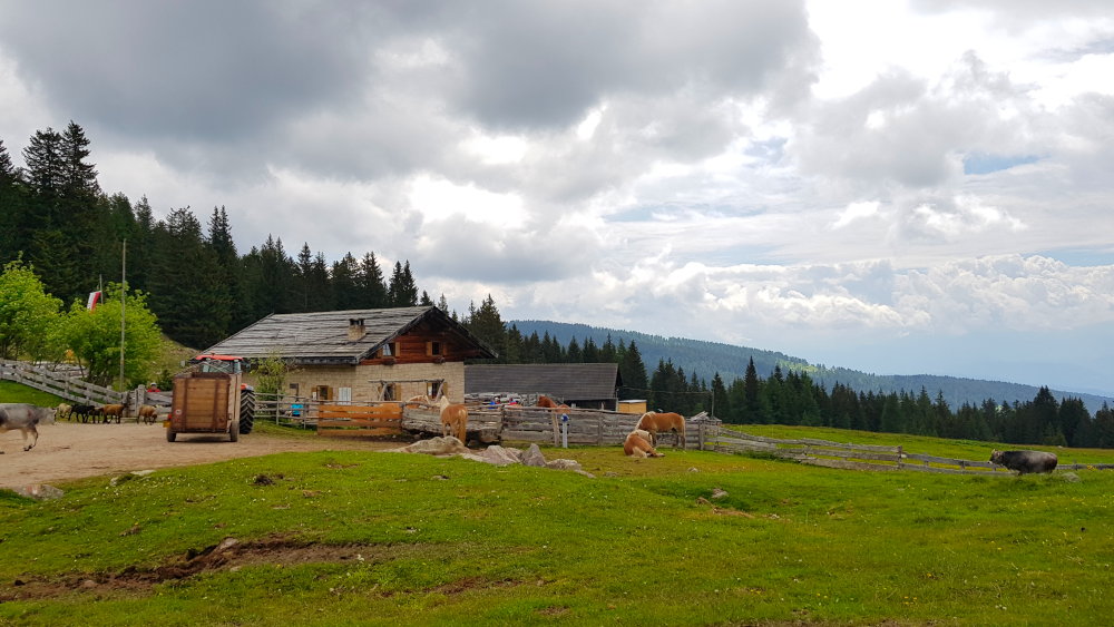 Möltner Kaser Alm