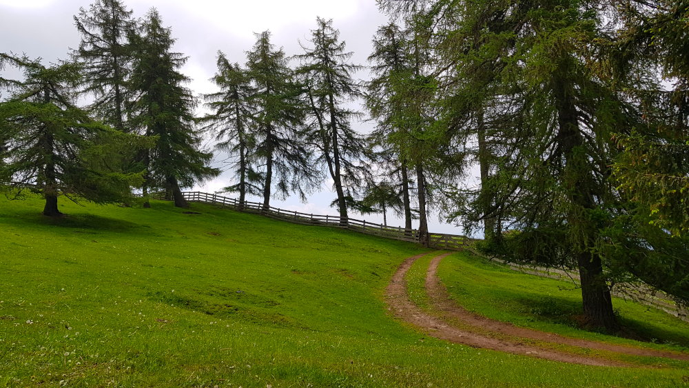 Wanderweg Salten