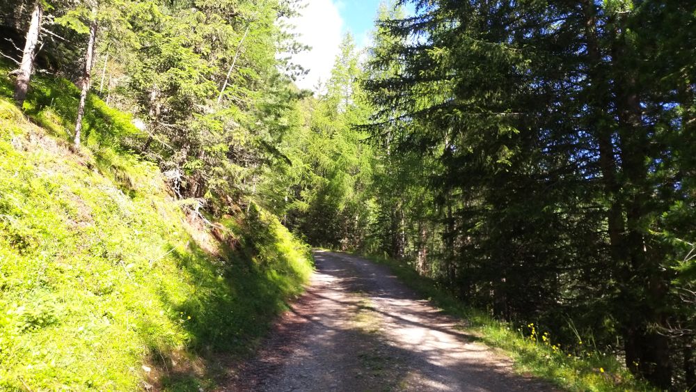 Forstweg zur Klosteralm