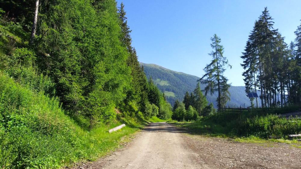 Forstweg zur Mariolbergalm