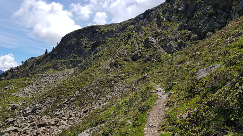 Weg zurück vom Saxalbsee