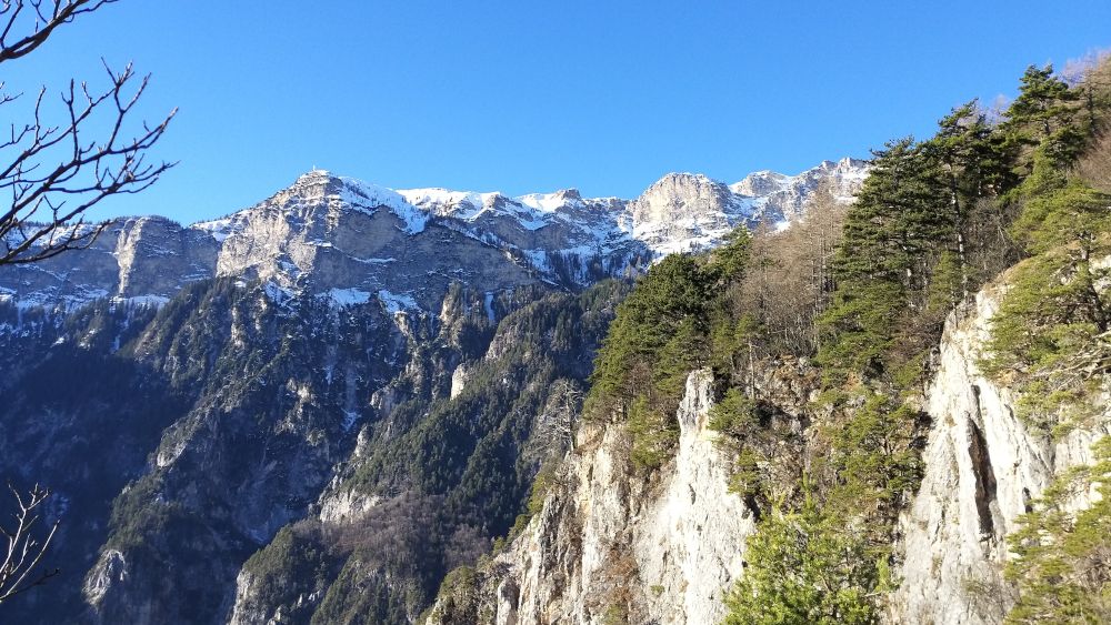 Ausblick von Jagdhütte bei Tramin