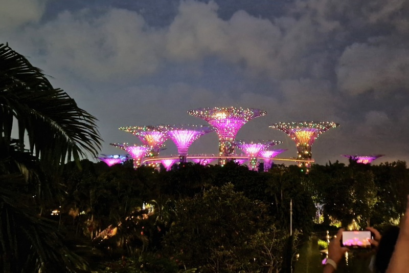 Gardens by the Bay nachts