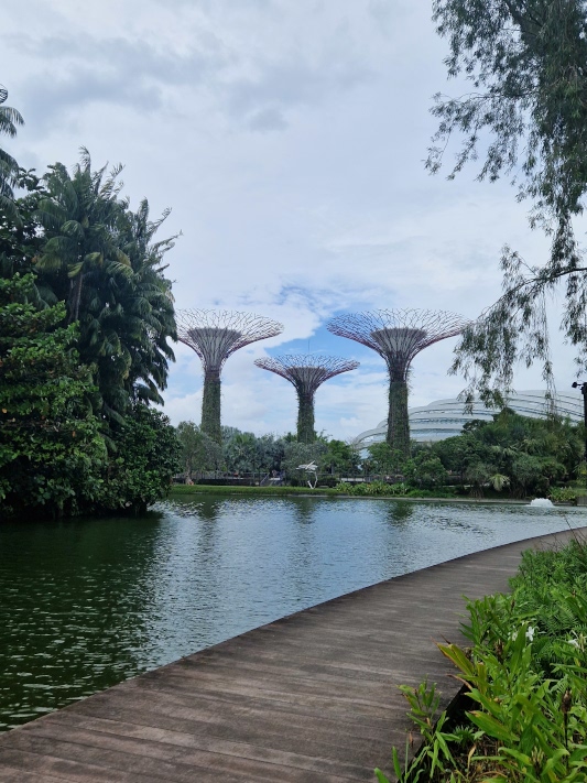 Singapur Sehenswürdigkeit Gardens by the bay