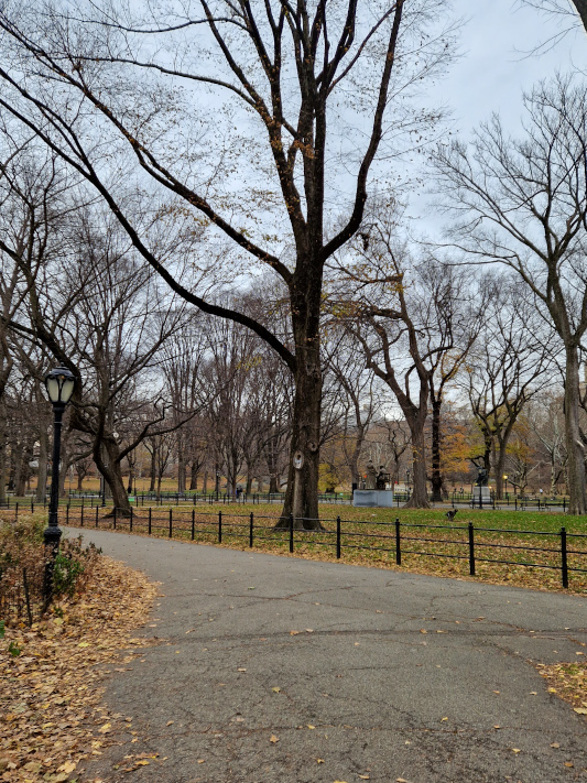 Central Park