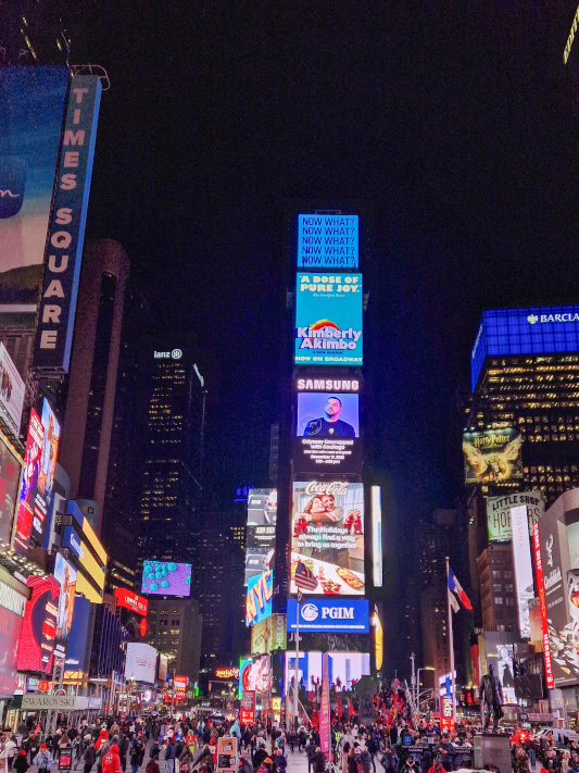 Times Square New York Sehenswürdigkeit